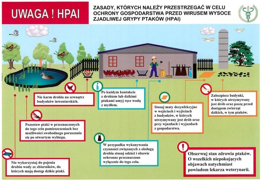 Uwaga na ptasią grypę!