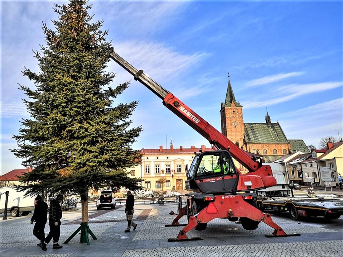 Pilzno też już ma choinkę 