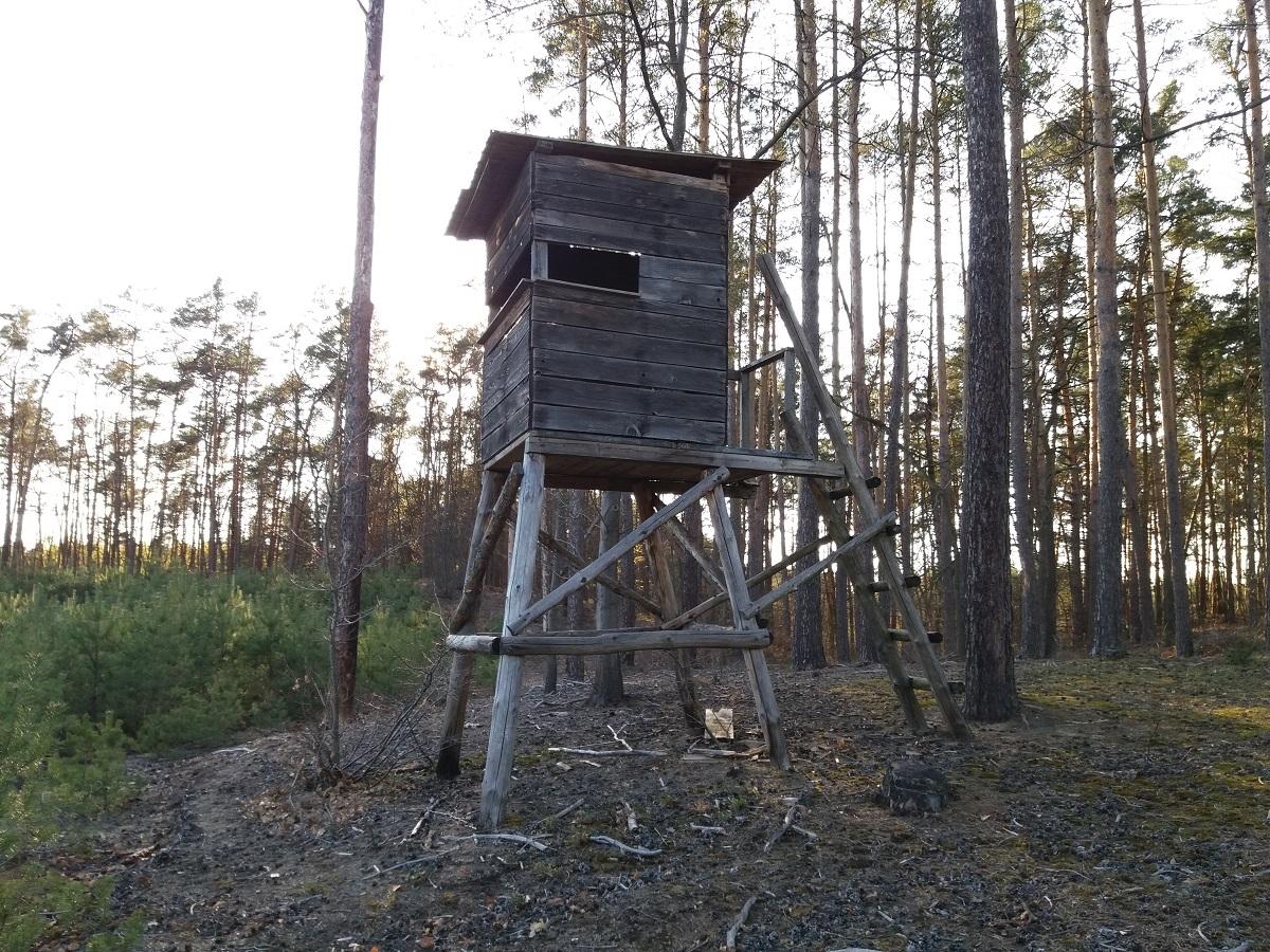 Nowe granice obwodów łowieckich ustalone