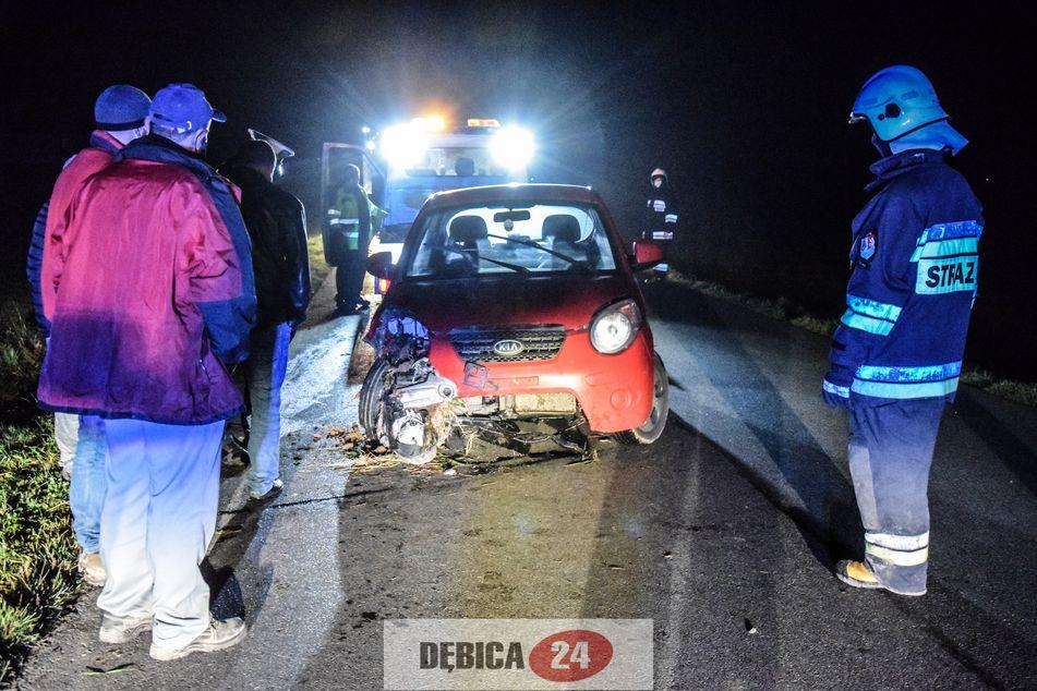 Dwa samochody uderzyły w jelenia - zdjęcia