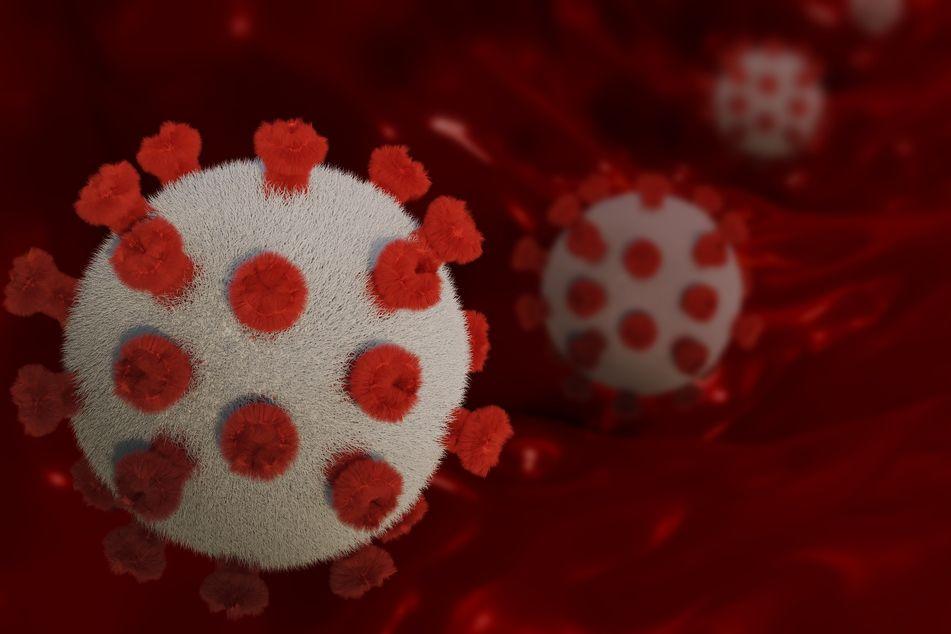 Koronawirus: zmarły trzy kobiety i dwóch mężczyzn
