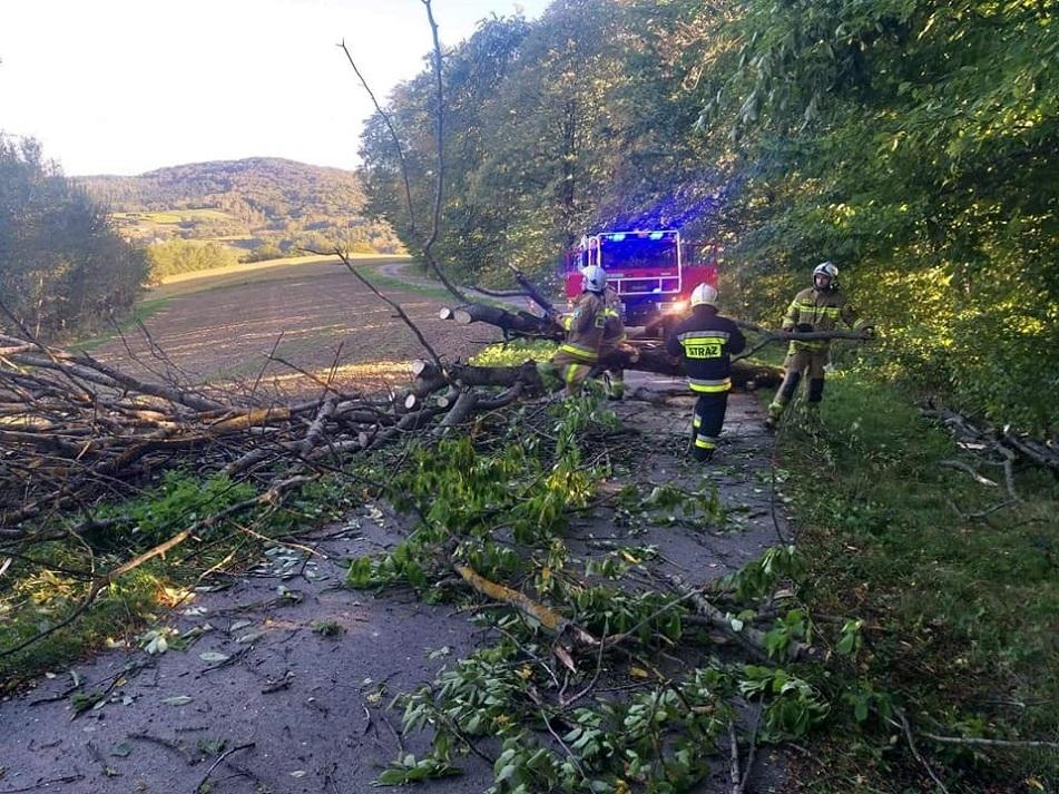 Wiatr przewracał drzewa i uszkodził dach na kościele