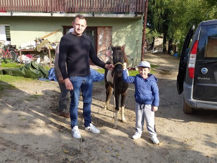 Dzięki panu Dominikowi Igorek odzyskał kucyka