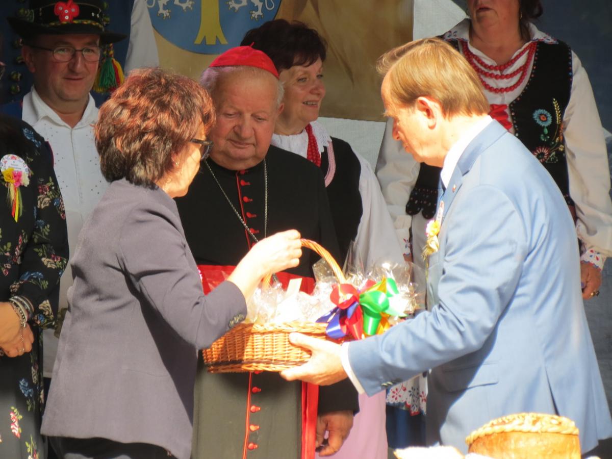 Spełniło się marzenie kustosza