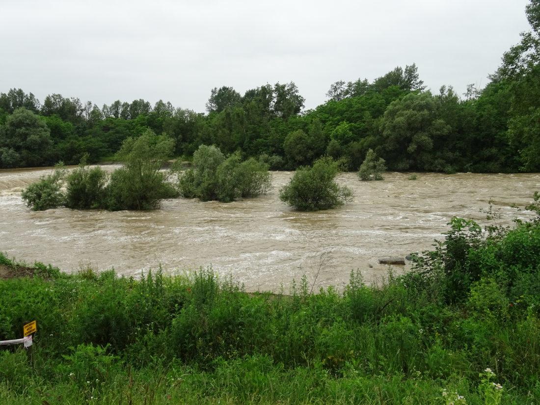 Wisłoka coraz wyżej, Wielopolka też - zdjęcia