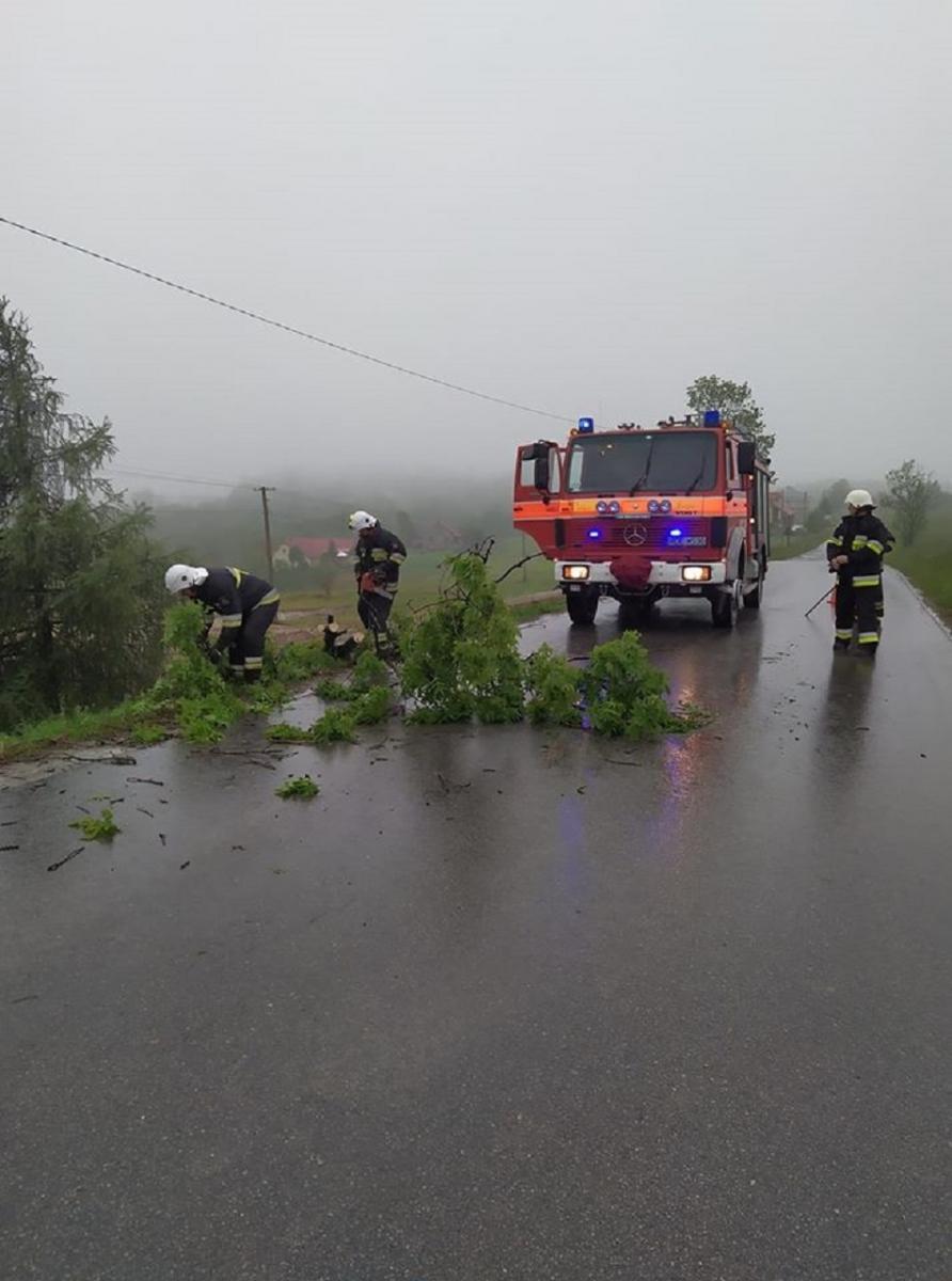 Powalone drzewa i zalane piwnice