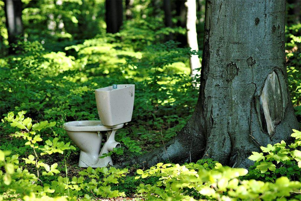 Stoi i czeka na potrzebujących. Na grzybobraniu jak znalazł 
