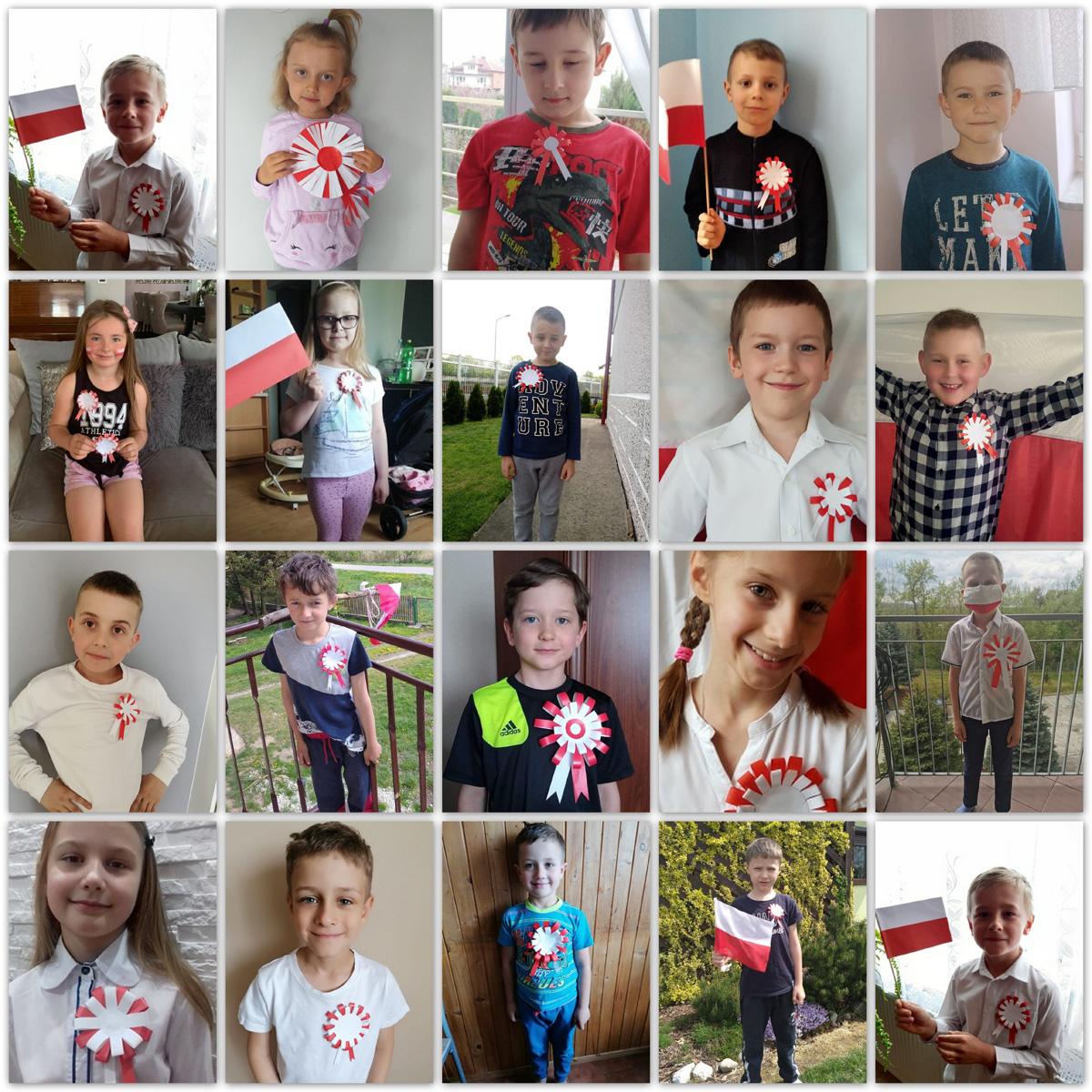 Kotyliony zrobili sobie sami