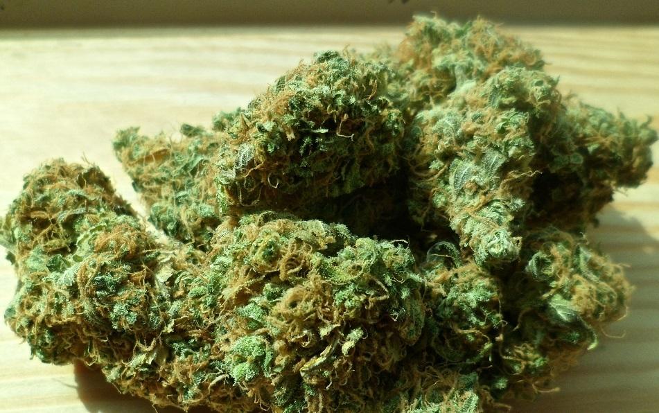 Grozi im nawet 12 lat więzienia