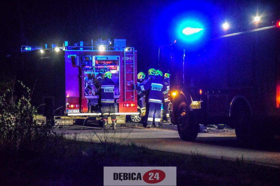 Miał być pożar lasu, było ognisko