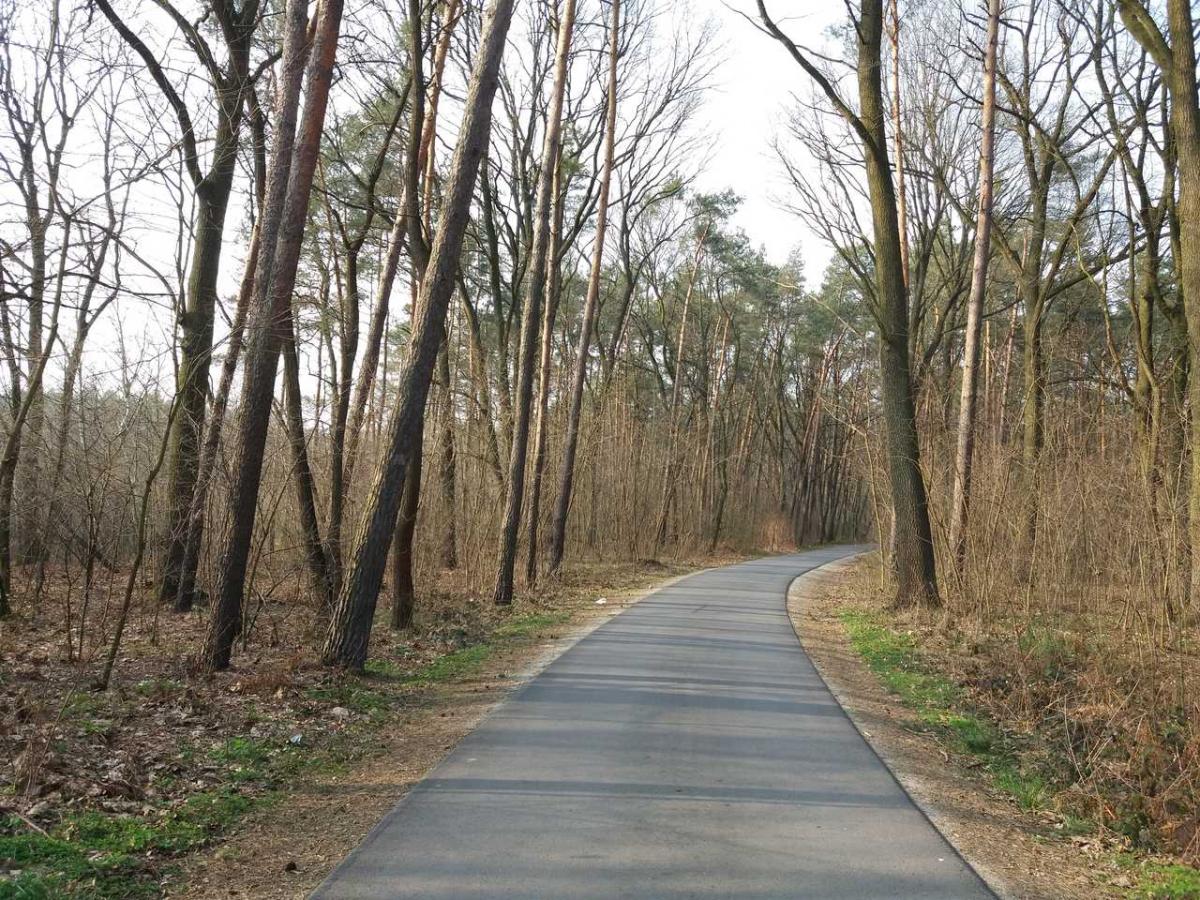 Od 20 kwietnia znów wejdziemy do lasów i parków?