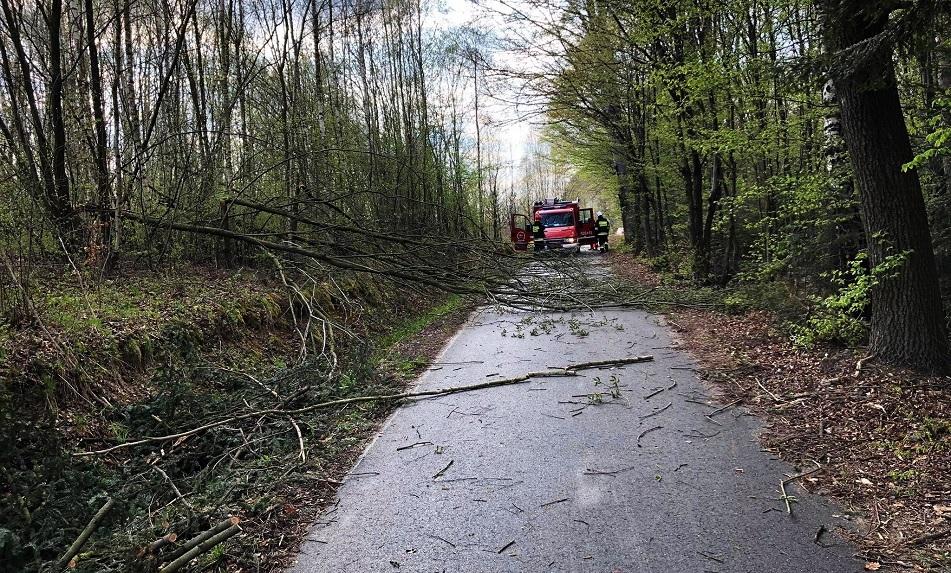 Uszkodzony dach, powalone drzewa