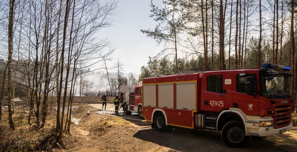 Rano strażacy wrócili do lasu w Chotowej. Akcja trwa
