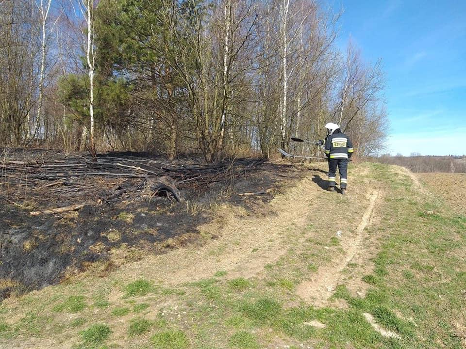 Płoną trawy w całym powiecie
