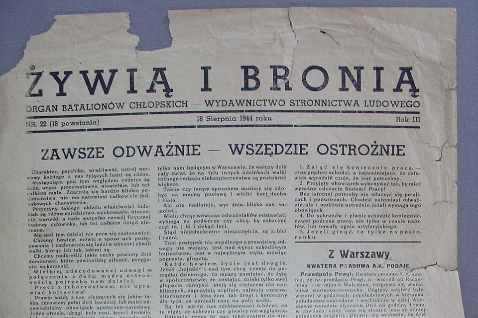80 lat temu powstał Ruch Oporu Chłopów powiatu dębickiego