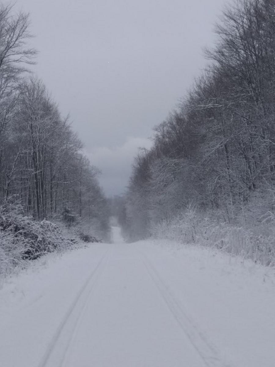 Śnieg zasypał Stasiówkę i Gumniska
