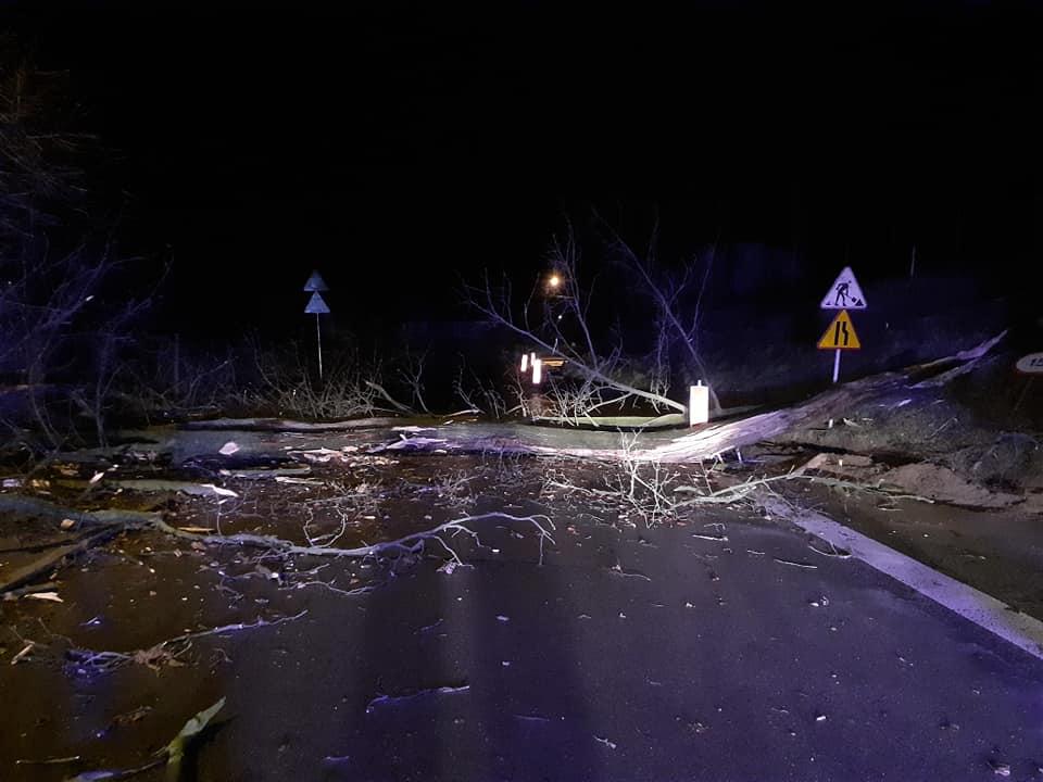 Pracowita noc strażaków - znowu powiało
