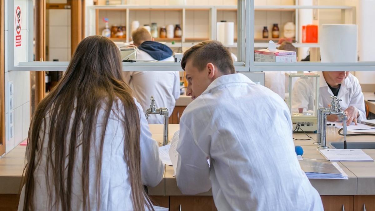 Warsztaty bezpłatne, a jeszcze zwrócą ci za dojazd