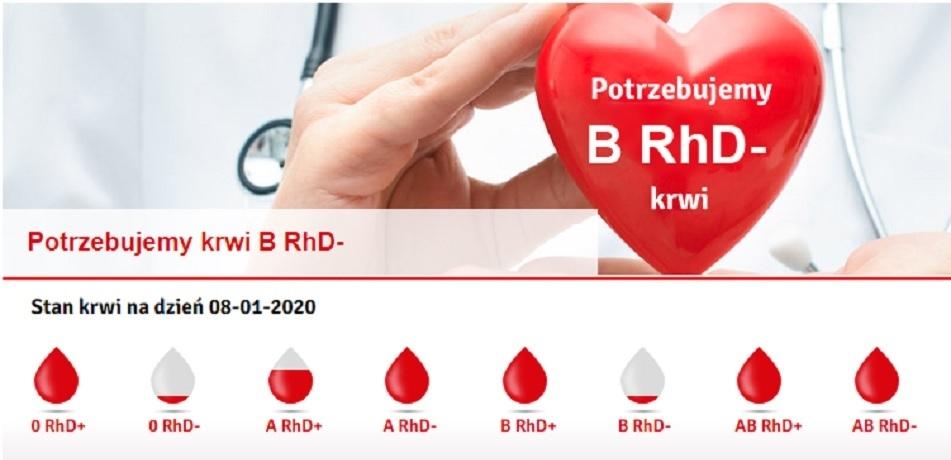 Sytuacja jest bardzo zła. RCKiK apeluje!