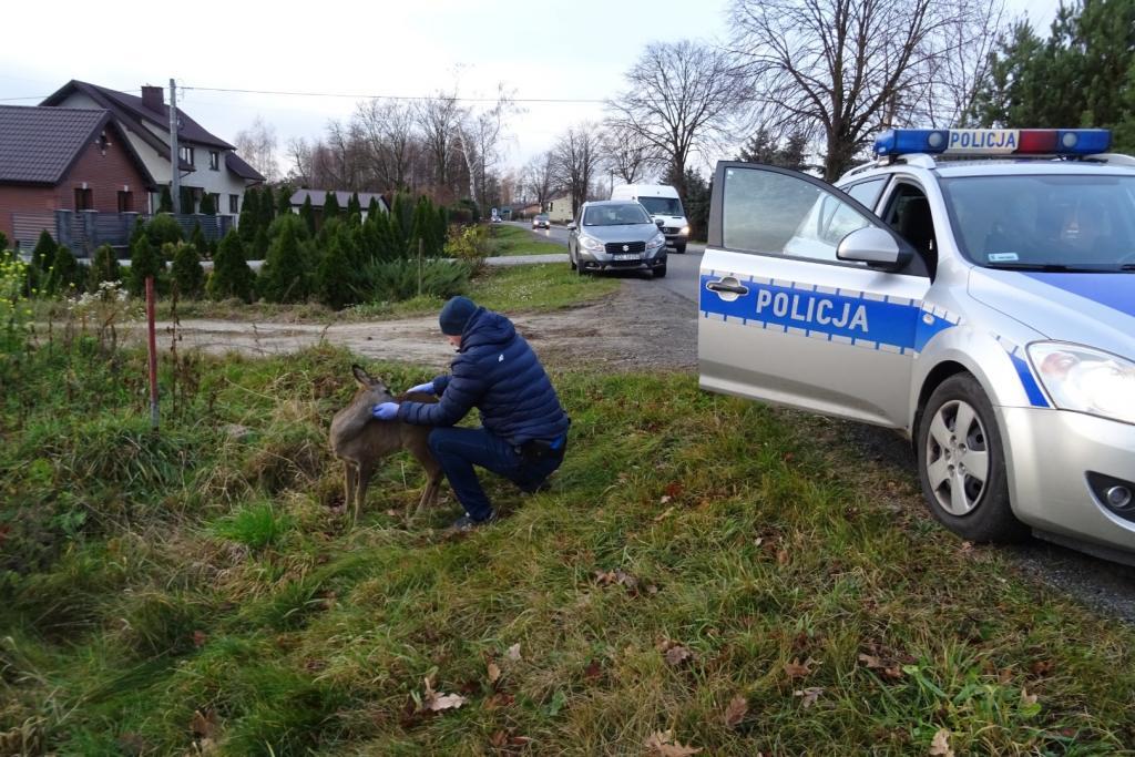Kierowca potrącił i odjechał (zdjęcia)