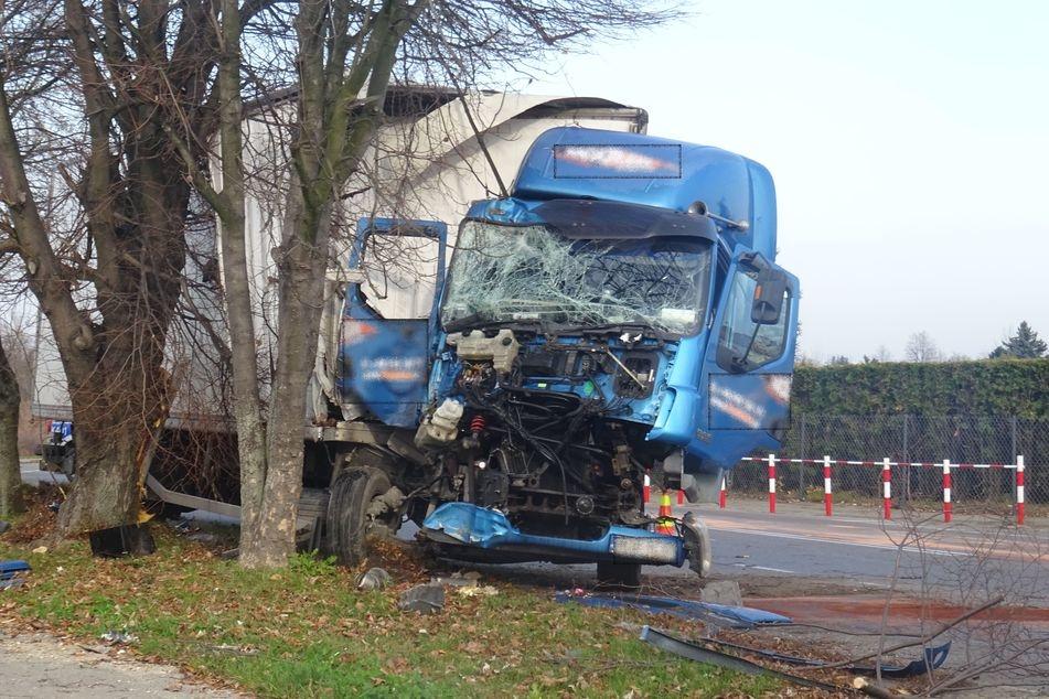 Tir roztrzaskał się na drzewie - zdjęcia