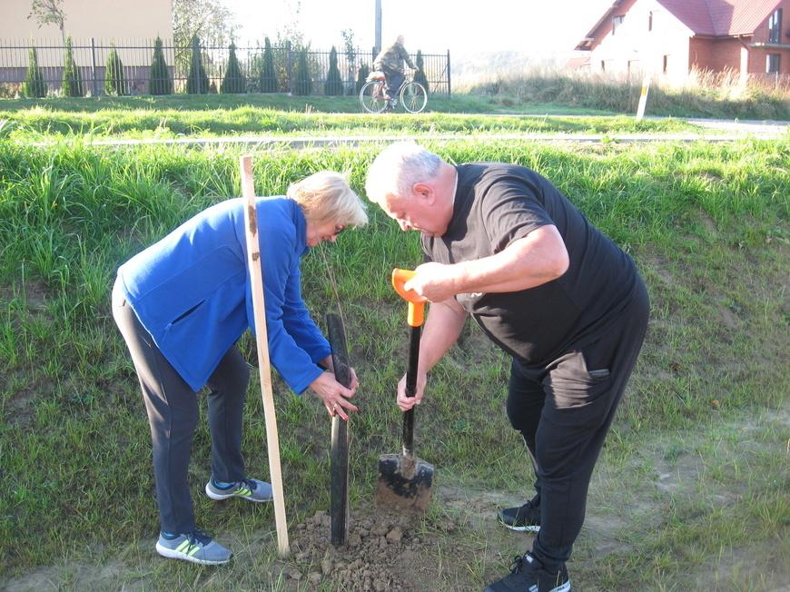 Młodzi i starsi sadzili drzewa