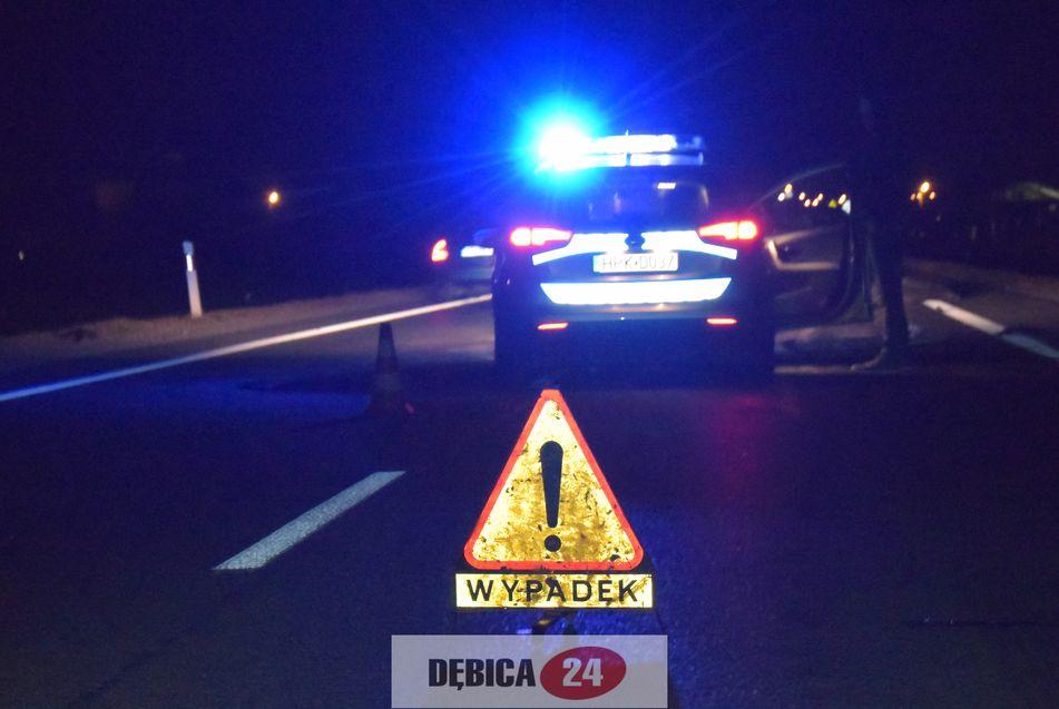 Pięć dzików nie miało szczęścia - zdjęcia