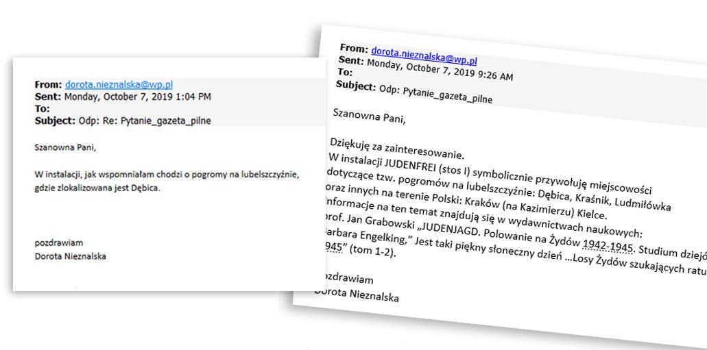 Dorota Nieznalska: chodzi o Dębicę na Lubelszczyźnie 