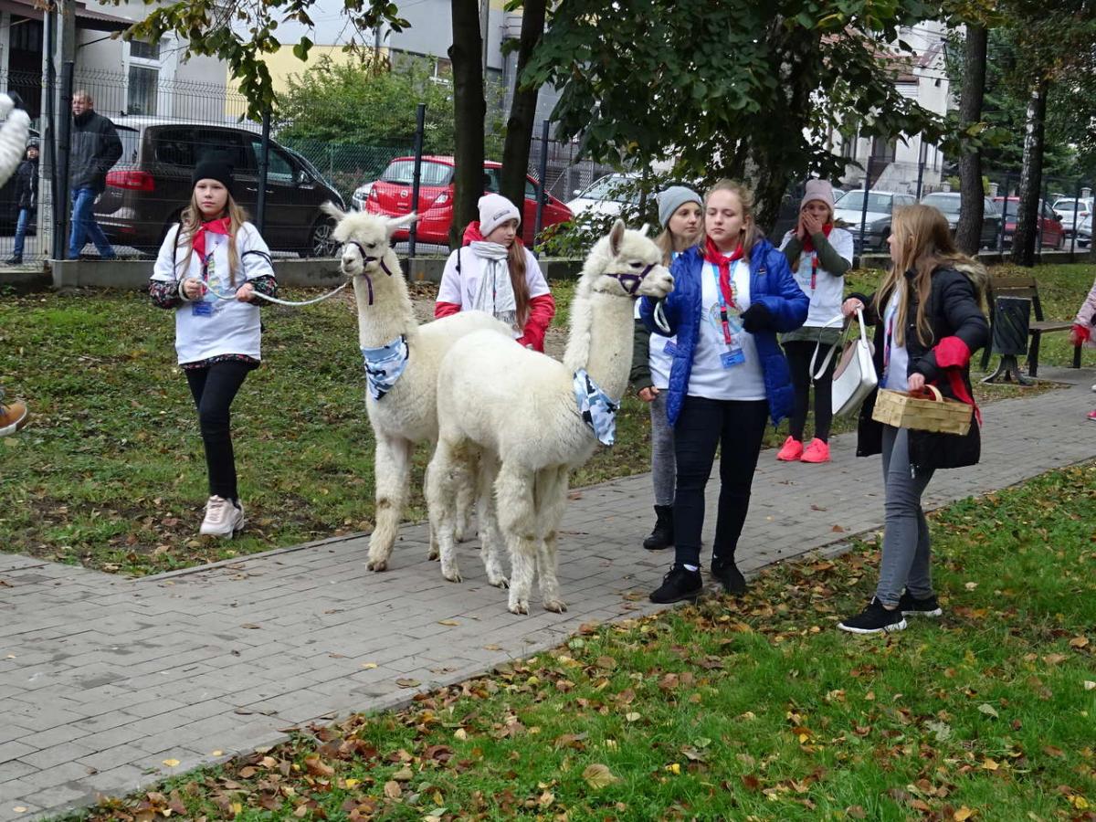 W Dębicy kolorowo jak w Cochabambie -zdjęcia