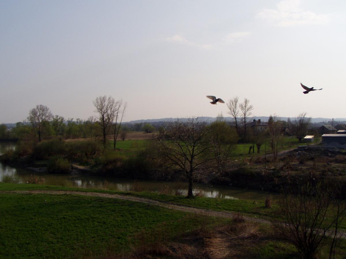Zrób zdjęcie i wygraj konkurs. Nagrody czekają