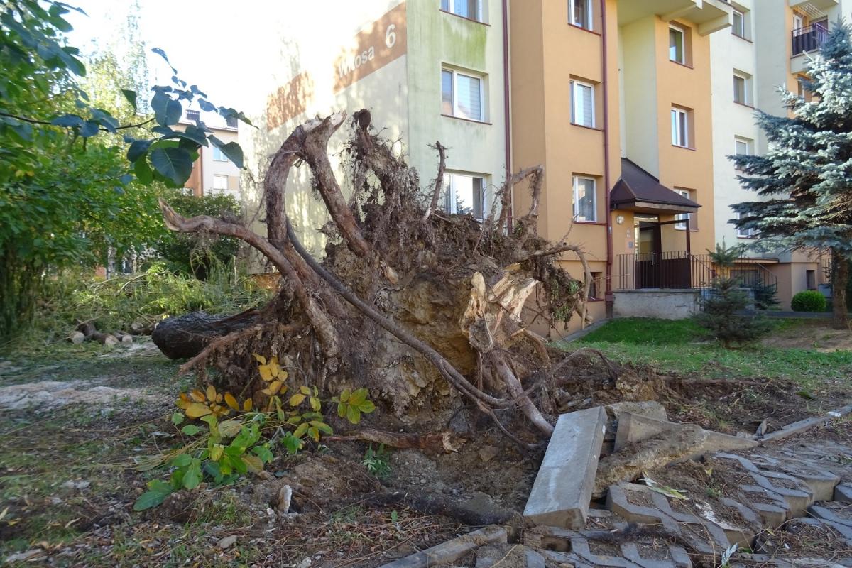 Uszkodzone auta, garaże i budynki mieszkalne