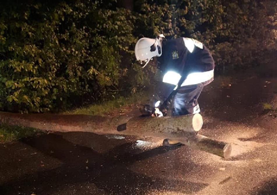 Wiało mocno, strażacy interweniowali