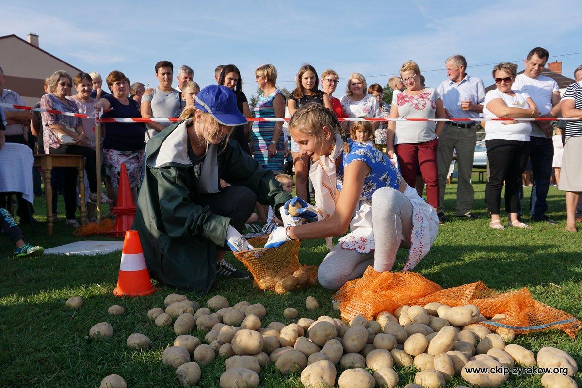 Skosztuj w niedzielę wiewióreckiej ziemniaczanki