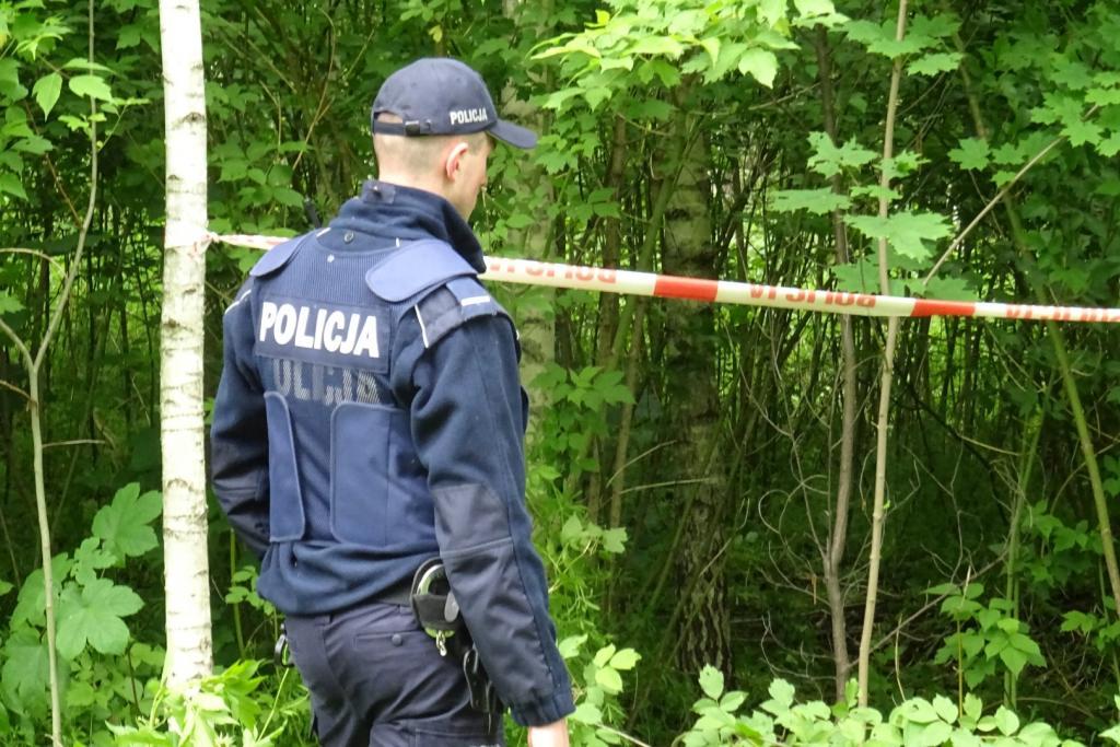Czyja to czaszka? Odkrycie w lesie w Pustkowie