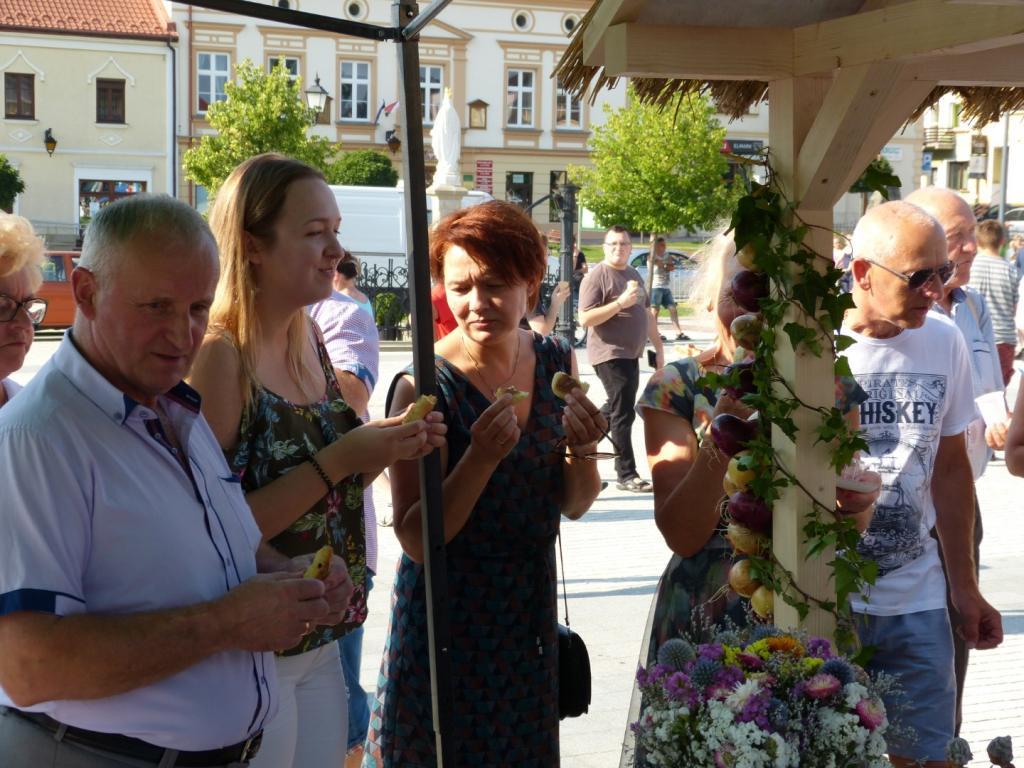 Prozioki jedli na Rynku