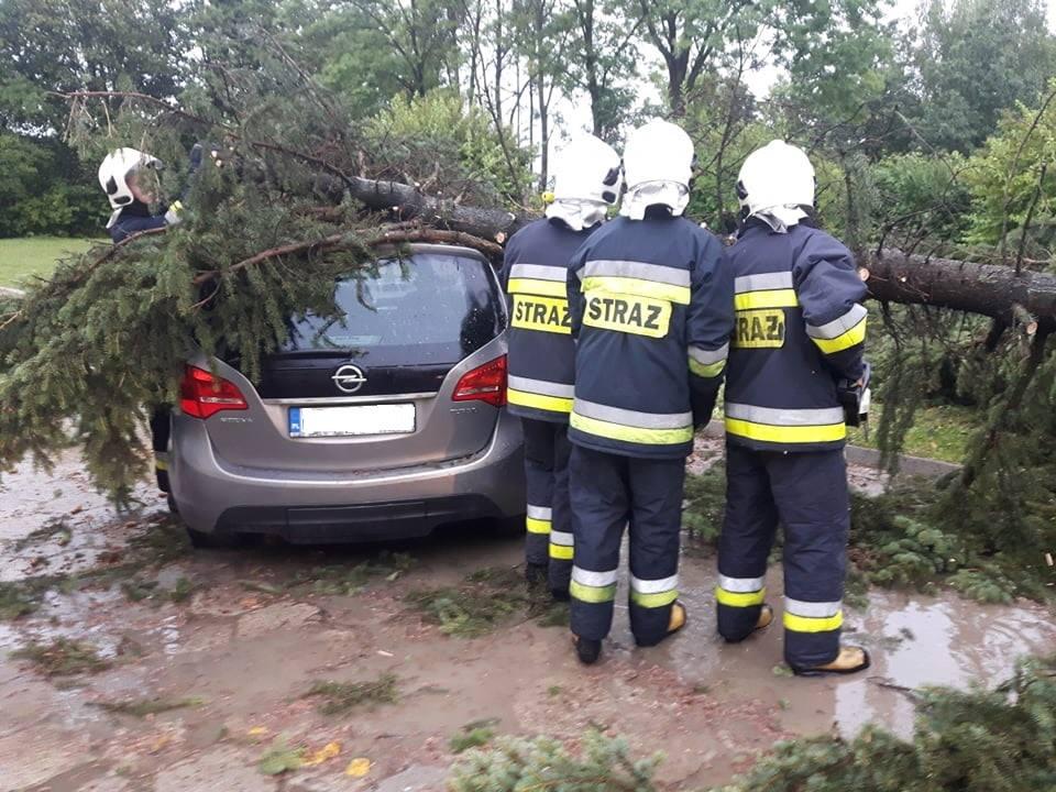 Drzewo spadło na samochód