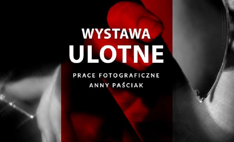 Fotografie można oglądać do końca czerwca