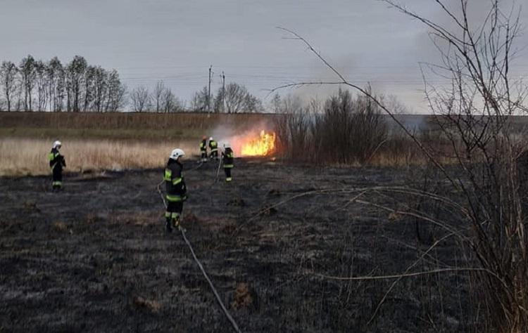 Nie tylko Lipiny. Trawa płonęła w Stasiówce i w Grabinach
