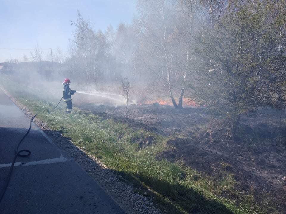 Kolejne pożary traw