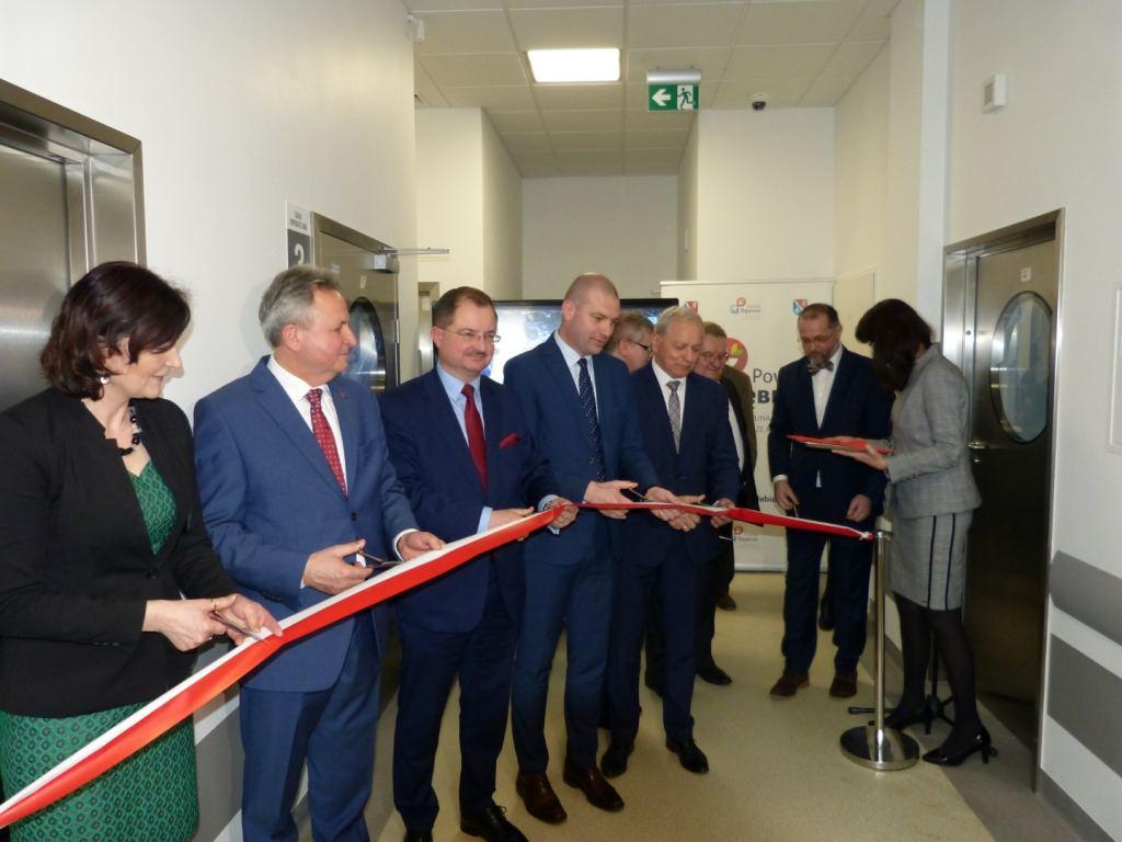 Chirurgiczne nożyczki poszły w ruch