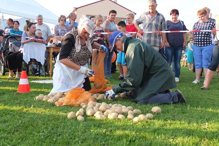 Święto Ziemniaka (zdjęcia)