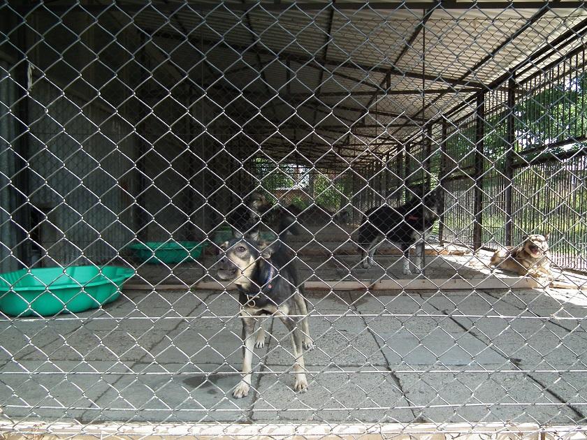 Prezes pomocy nie chce, nawet za darmo