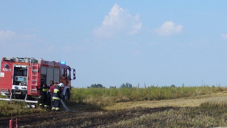 Rekordowe pożary. W Chotowej płonęło 3 ha lasu