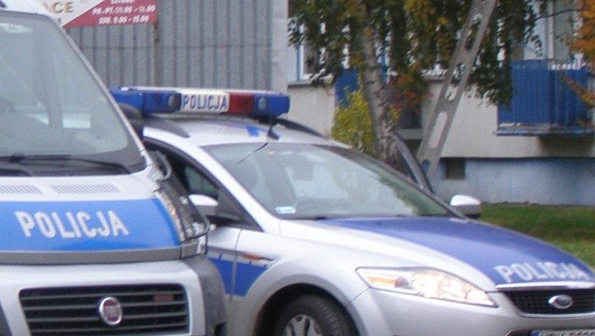 Mieszkaniec Śląska odpowie za kradzieże