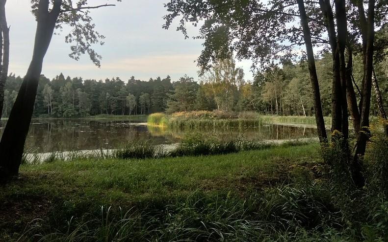 Wyprawa już jutro - przez lasy, torfy, nad stawy. Zapraszamy!