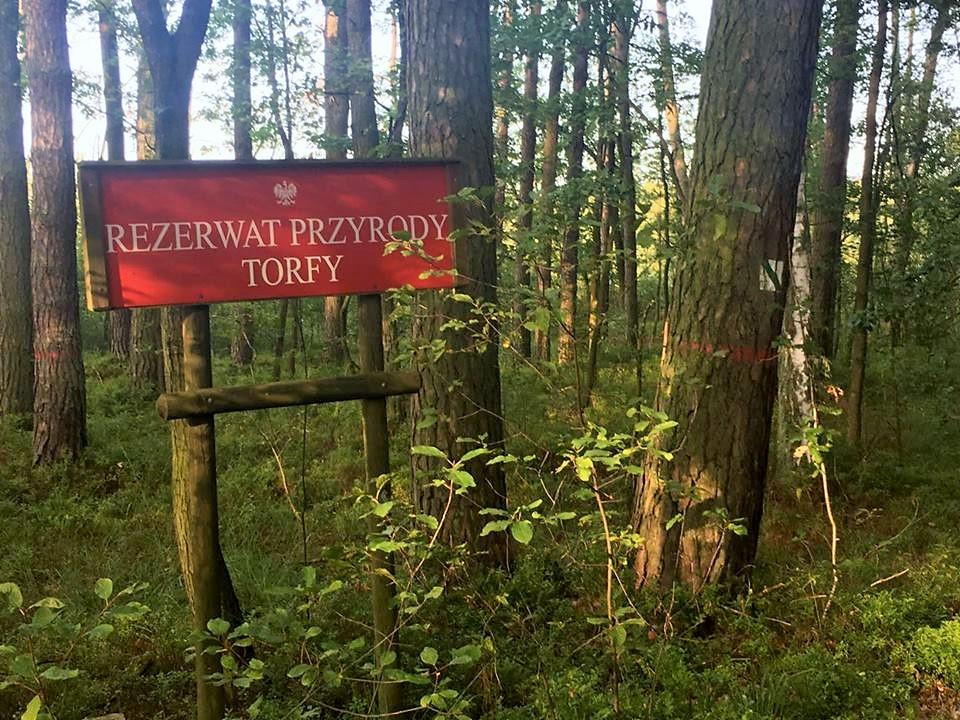 Torfy - rezerwat na trasie wyprawy Obserwatora