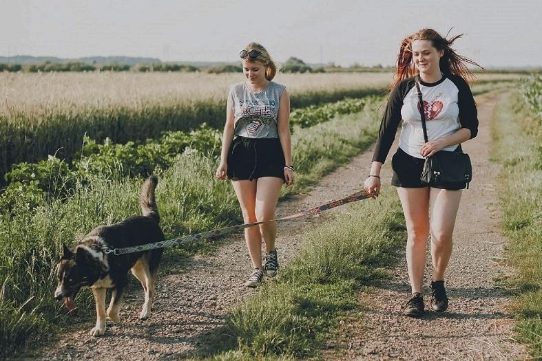 W sierpniu Bieg na 6 łap. Pomagają codziennie