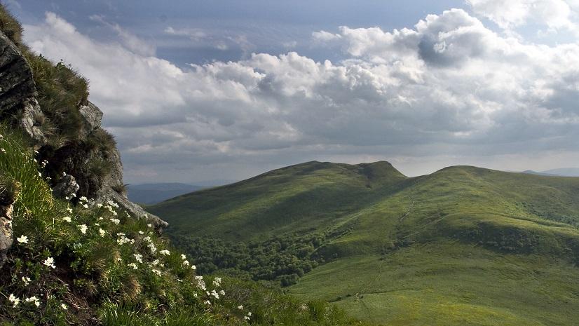 Zanim wyskoczysz w Bieszczady albo Beskidy zobacz to w telewizji
