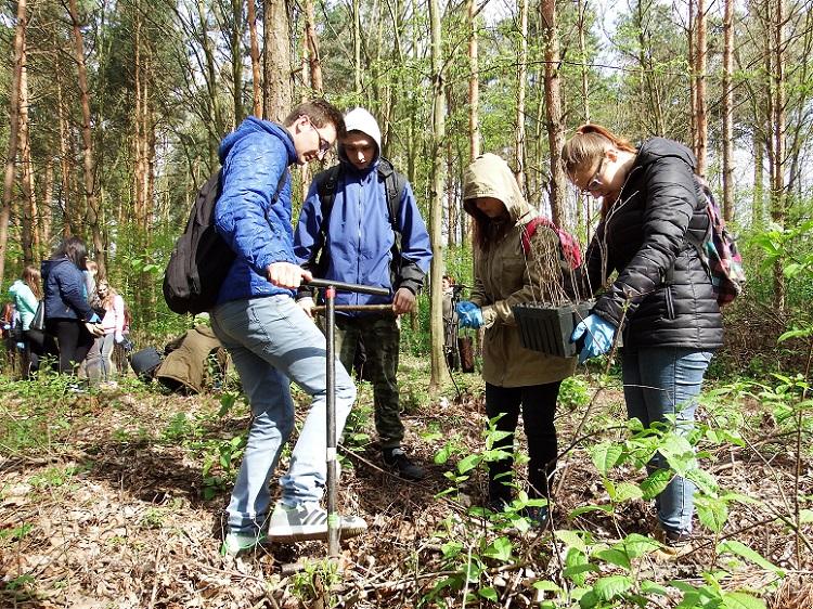 200 uczniów posadziło ponad 3000 buków