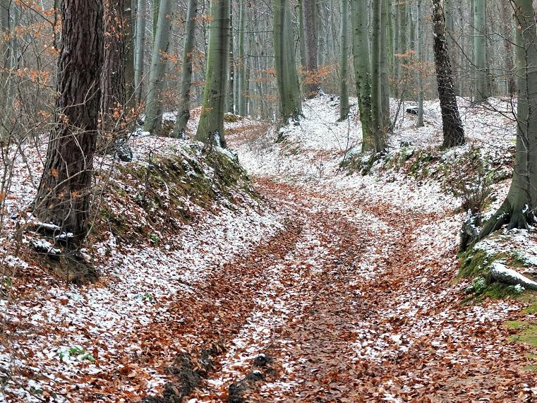 Powietrze na weekend? W Dębicy dobre